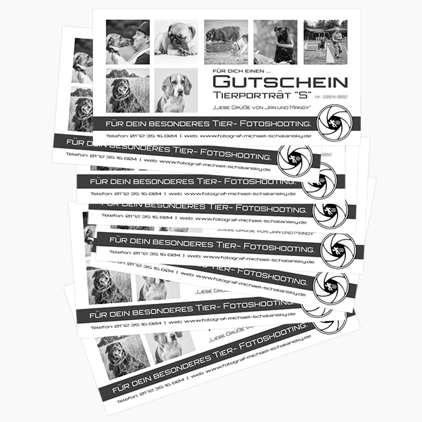 Ansicht eines Stapels klassischer Gutscheine von Fotograf Michael Schalansky, die für Tierfotografie-Shootings beworben werden, aber auch die flexible Einsetzbarkeit für andere Fotografie-Dienstleistungen suggerieren. Die Gestaltung ist schlicht und seriös, mit Tierbildern als Beispiele.